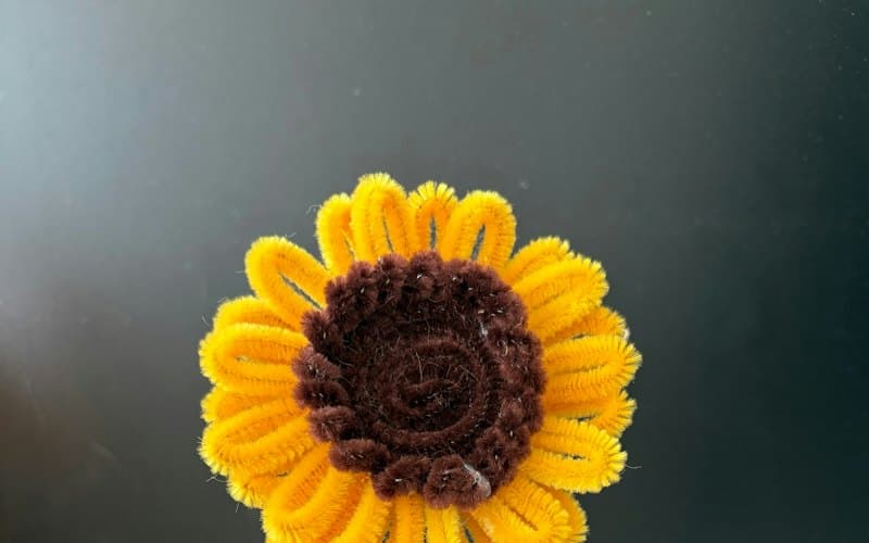 Pipe Cleaner Flowers class — Saaj Alankaracha